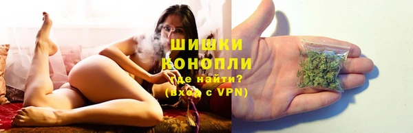 гашик Переславль-Залесский