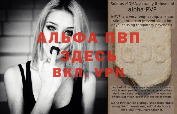 гашик Переславль-Залесский
