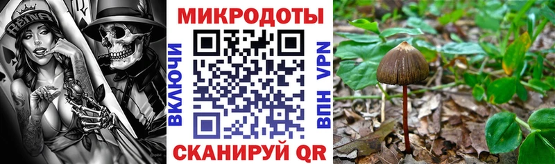МЕГА   Байкальск  Псилоцибиновые грибы прущие грибы  цены наркотик 