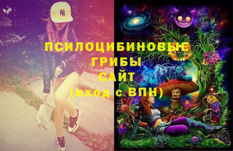 Псилоцибиновые грибы Psilocybe  Байкальск 